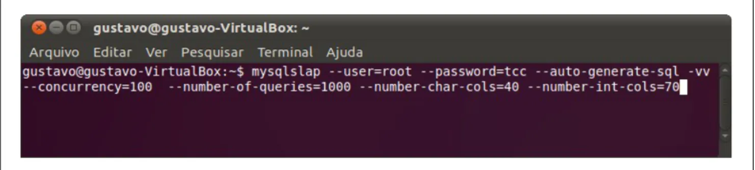 Figura 3. mysqlslap: terminal com o comando de execução da ferramenta