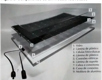 Figura 8: Componentes de um módulo fotovoltaico 