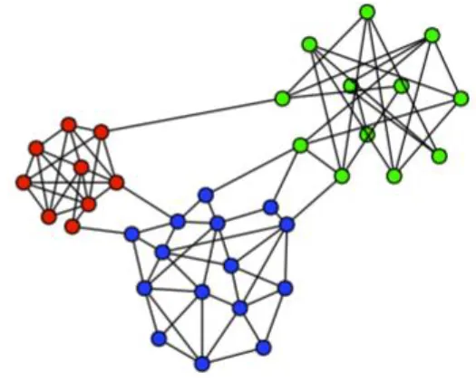 Figure 6 – Community structures in a social graph, each represented with a different colour (extracted  from [11])