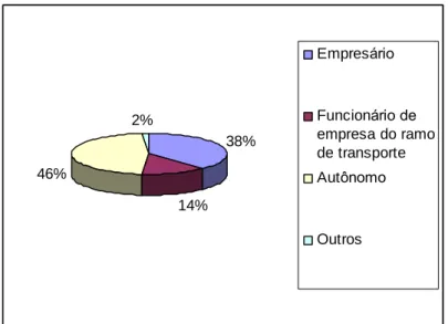 Figura 7: Tipo de profissional. 