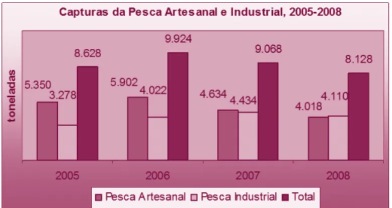 gráfico 4: evolução das capturas de pesca artesanal e industrial, 2005-2008