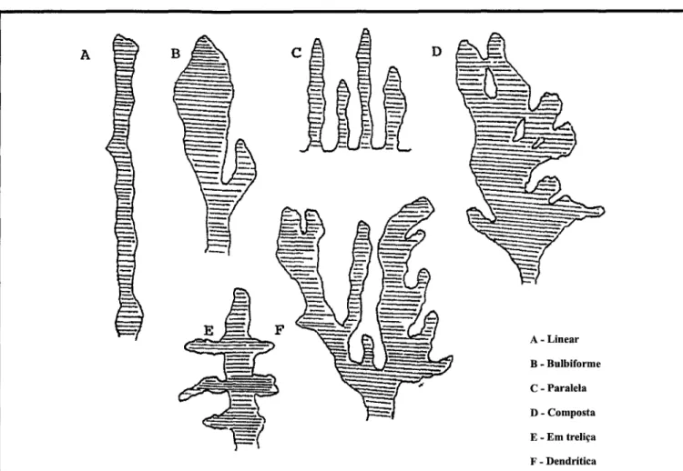 Figura 4 - Formas características de ravinas e voçorocas 