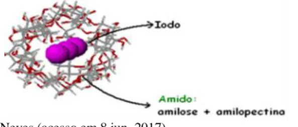 Figura  2  -  Complexação  da amilose  e  da  amilopectina  com  o  íon triodeto,  resultando em complexo azul e vermelho-violáceo, respectivamente
