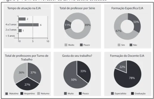 Figura 4 - Perfil do Professor da EJA na escola estudada
