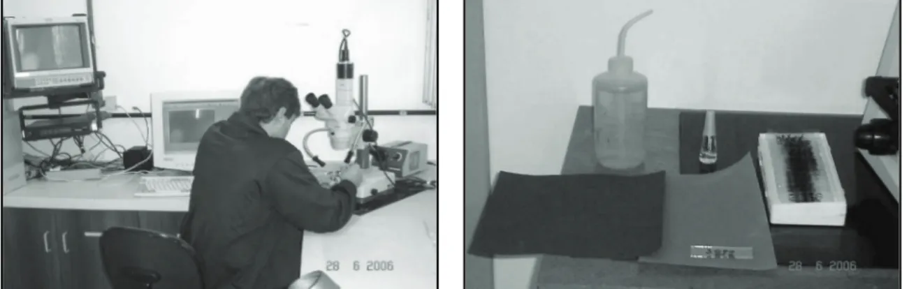 Figura  6:  Visualização do par de estatólitos de I. argentinus  para montagem de lâminas  utilizando microscópio óptico de luz emitida acoplado ao Sistema Analisador de Imagens  (esquerda); Material utilizado para preparação: Água, esmalte incolor, lixa d