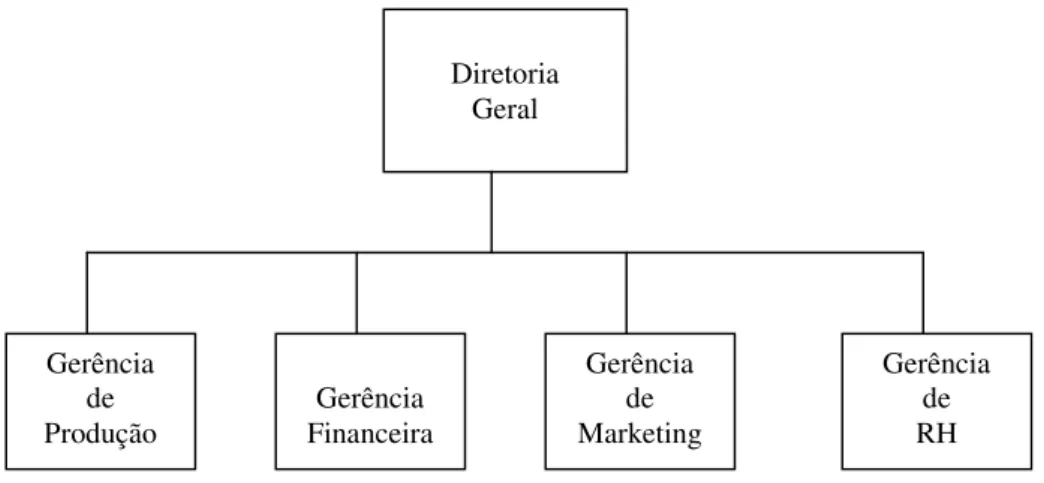 Figura 10: Departamentalização funcional.  