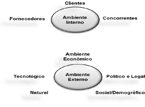 Figura 4 - O Ambiente de Marketing. 