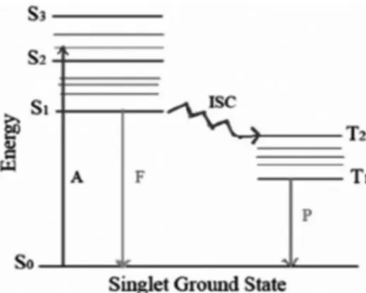 Figure 2.5: Jablonski diagram. A-Absorption, F-Fluorescence, ISC-Intersystem Crossing, P- P-Phosphorescence, S 0 -Ground state, S i] -Higher energy states, T i -Triplet state