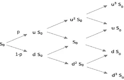 Figure 6 – Binomial Lattice (Adapted from: Brandão, 2005)