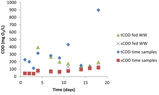 Figure 19  – Soluble COD and total COD values in supernatant samples taken at given times and in the fed WW