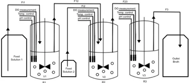 Figure 11 - Experimental setup of the three-stage continuous culture system.  