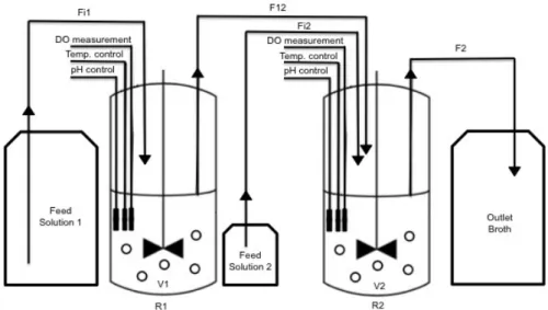 Figure 10 – Experimental setup of the two-stage continuous culture system.  