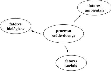 Figura 2 - Explicação biológico-ambiental do processo saúde-doença. 