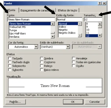 Figura 27 - Configurando o Word 2003 