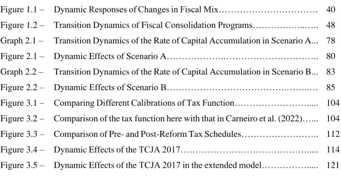 Figure 1.1 –  Dynamic Responses of Changes in Fiscal Mix……………………………  40  Figure 1.2 –  Transition Dynamics of Fiscal Consolidation Programs………….…..….