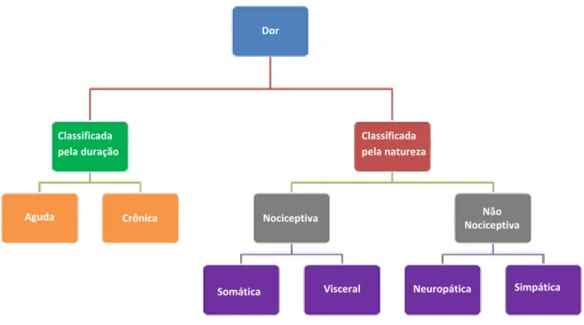 Figura 10 – Classificação da dor 