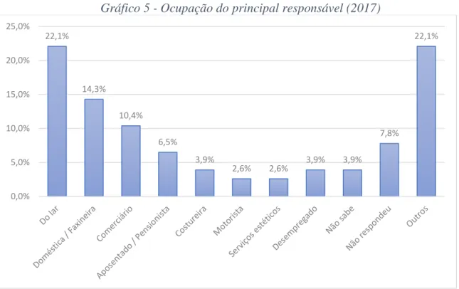 Gráfico 5 - Ocupação do principal responsável (2017) 