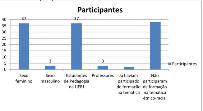 Gráfico 4 – Perfil dos participantes do Ciclo de Palestras 
