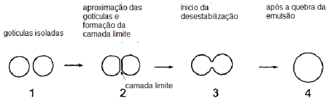 Figura 11 - Quebra de emulsão 