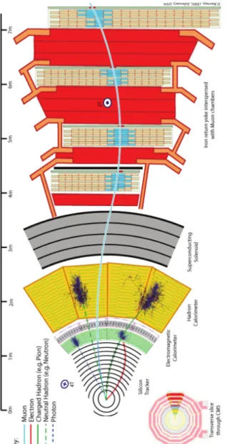 Figure 9 - The CMS object reconstruction scheme.