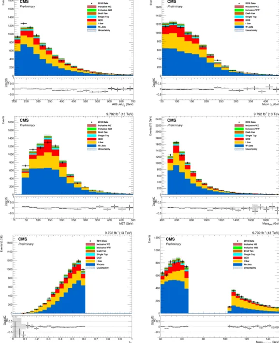 Figure 29 - Data and MC comparison for W + J ets Control Region.