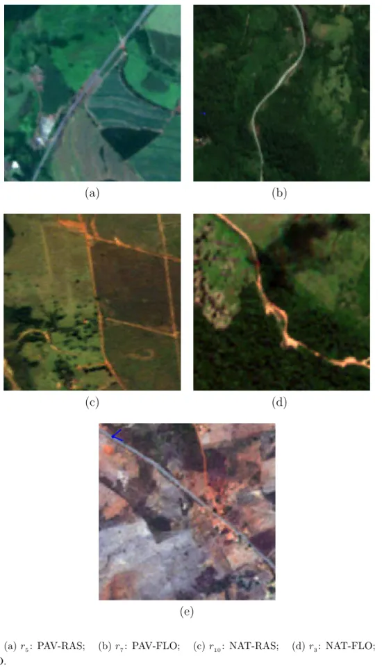 Figura 11 - Exemplos das classes de recortes de imagens Rapideye presentes na base de dados