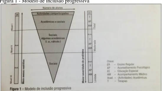 Figura 1 - Modelo de inclusão progressiva 