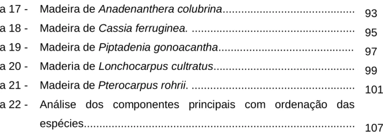 Figura 19 -  Madeira de Piptadenia gonoacantha ...........................................