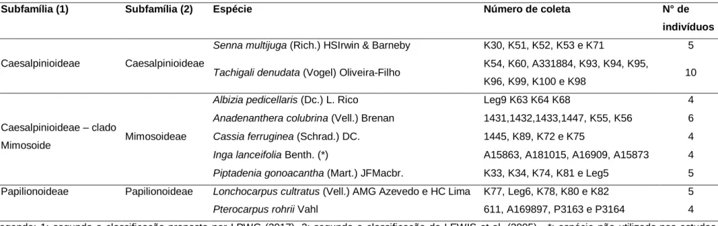 Tabela 5: Relação das espécies e subfamílias de Leguminosae tratadas nos capítulos 3 e 4, com seus indivíduos e respectivos  números de coleta