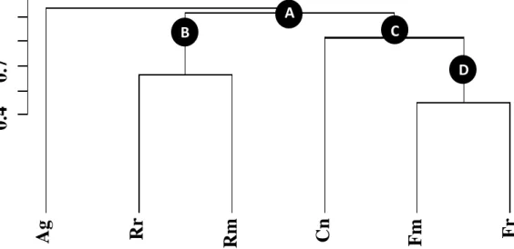 Figura 23 – Análise de agrupamento UPGMA das seis espécies estudadas. 