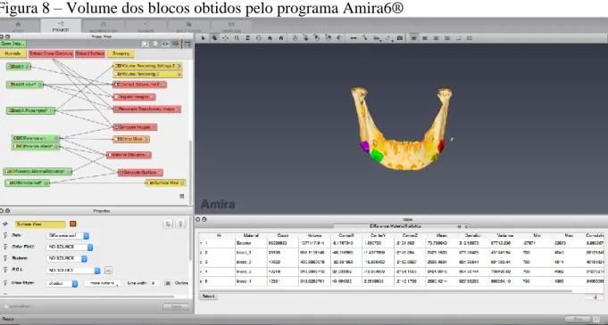 Figura 8 – Volume dos blocos obtidos pelo programa Amira6® 