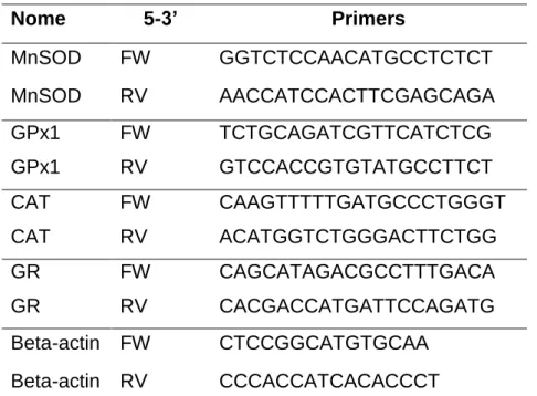 Tabela 2 - RT-qPCR primers e respectivas sequências. 