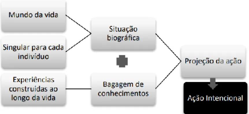 Figura 5 – Ação intencional  