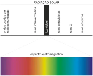 Figura 1 – Espectro da luz visível  Fonte: PEDROSA (2003), p.20. 