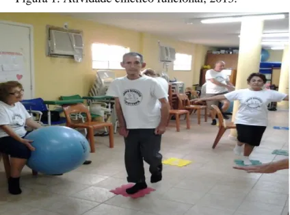 Figura 1: Atividade cinético funcional, 2013. 