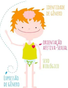 Figura 12: Congruência de Gênero 