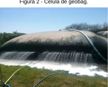 Figura 2 - Célula de geobag. 