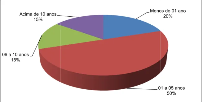 Gráfico 4 - Tempo de Empresa