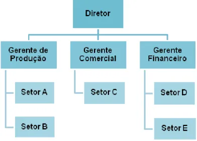 Figura 3 - Estrutura Funcional 
