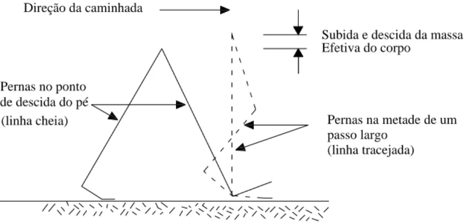 Figura 2.2 - Geometria Simplificada de uma Passada [32] 