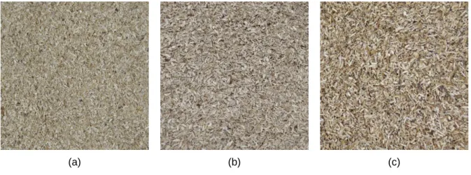 Figure  3.1 shows the three poplar samples (AF8-I, AF8-P and  AF2) studied in this  work