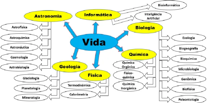 Figura 08 – A transversalidade do conceito de vida. 