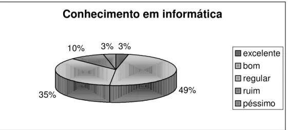 Gráfico 2: Conhecimento em informática 