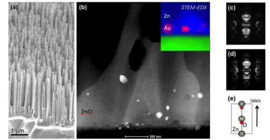 Fig. 1. Characterization of the as-grown ZnO nanowires. (a) SEM micrograph of an epitaxially grown ZnO  forest on c-plane sapphire substrate