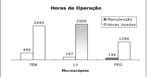 Gráfico 6: Horas de operação dos Microscópios Eletrônicos em 2004 