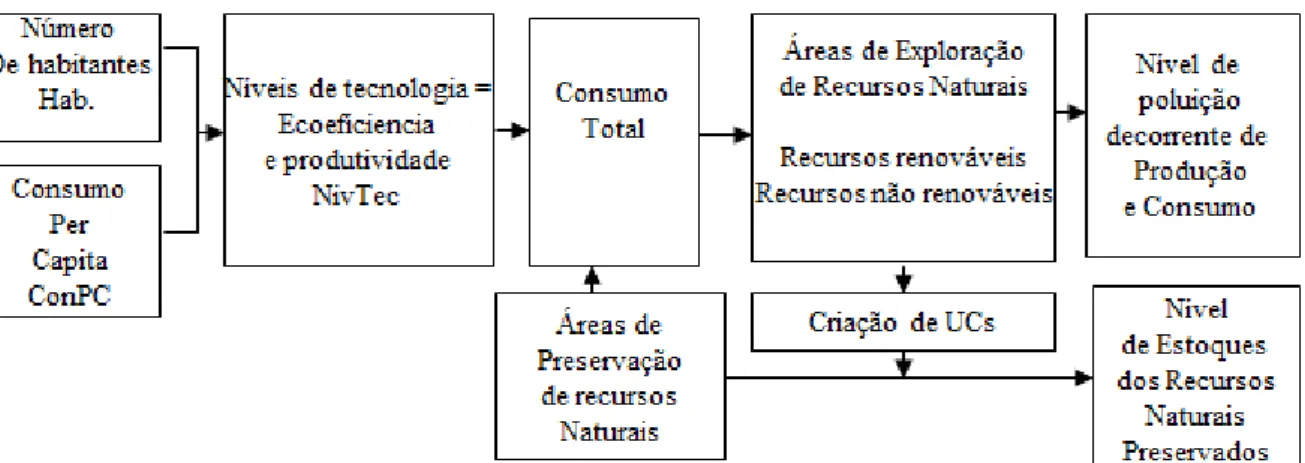 Figura 1 - Níveis de consumo e preservação 
