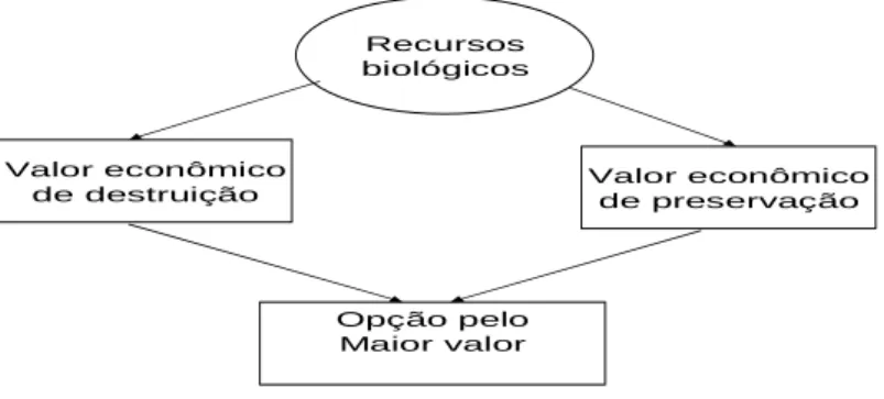 Figura 3 - Decisão destruir x preservar 