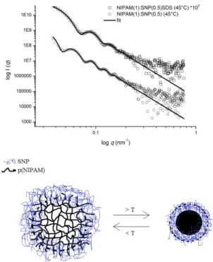 Fig. 1 SAXS measurements of hybrid microgels above volume transition temperature (45 °C) (left) and  proposed SNP-co-p(NIPAM) hybrid microgel structure