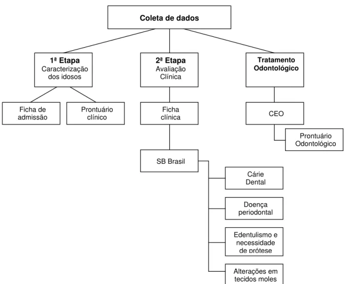 Figura 5 - Processo de coleta de dados e suas etapas 