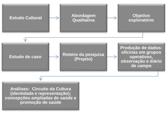Figura 2: Caracterização geral do estudo. 